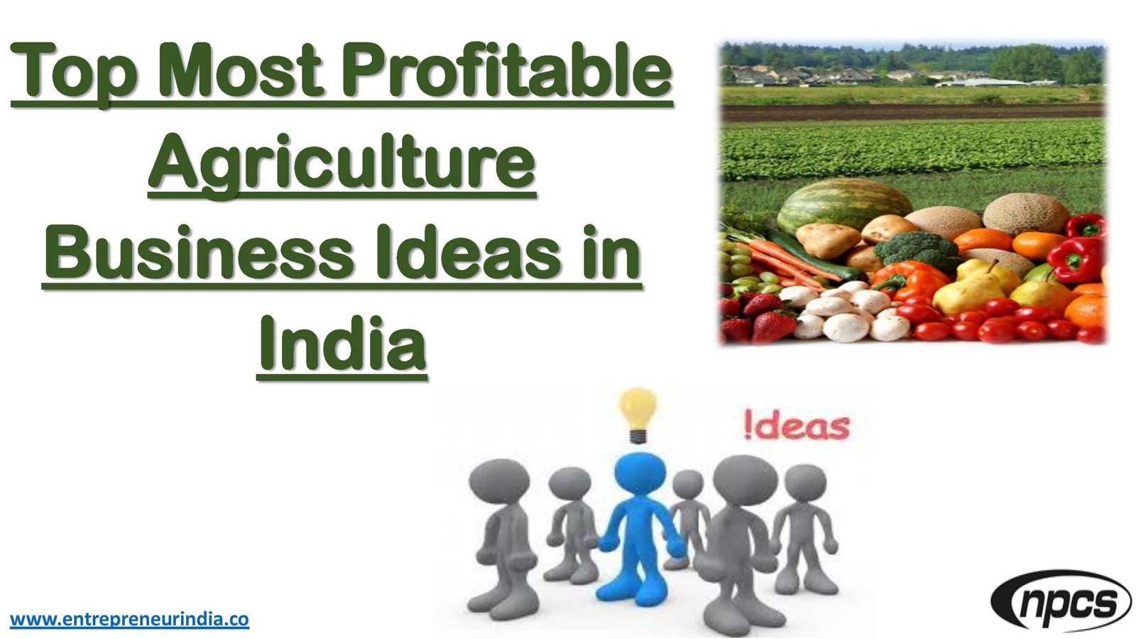 Top Most Profitable Agriculture Business Ideas in India - Niir Project ...