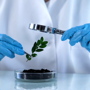 Agrochemicals