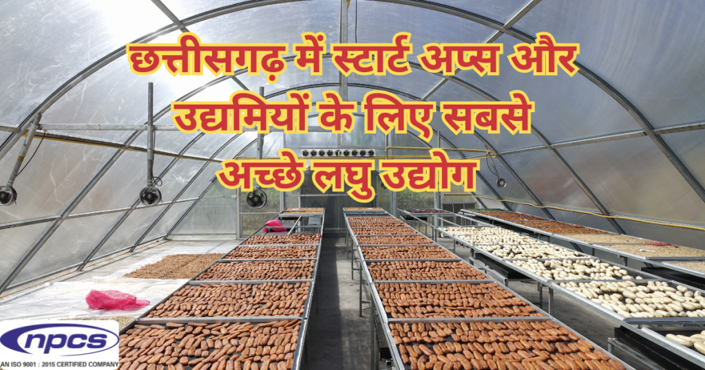 à¤›à¤¤à¥à¤¤à¥€à¤¸à¤—à¤¢à¤¼ à¤®à¥‡à¤‚ à¤²à¤˜à¥ à¤‰à¤¦à¥à¤¯à¥‹à¤—
