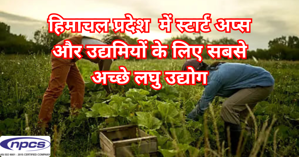 à¤¹à¤¿à¤®à¤¾à¤šà¤² à¤ªà¥à¤°à¤¦à¥‡à¤¶ à¤®à¥‡à¤‚ à¤²à¤˜à¥ à¤‰à¤¦à¥à¤¯à¥‹à¤—