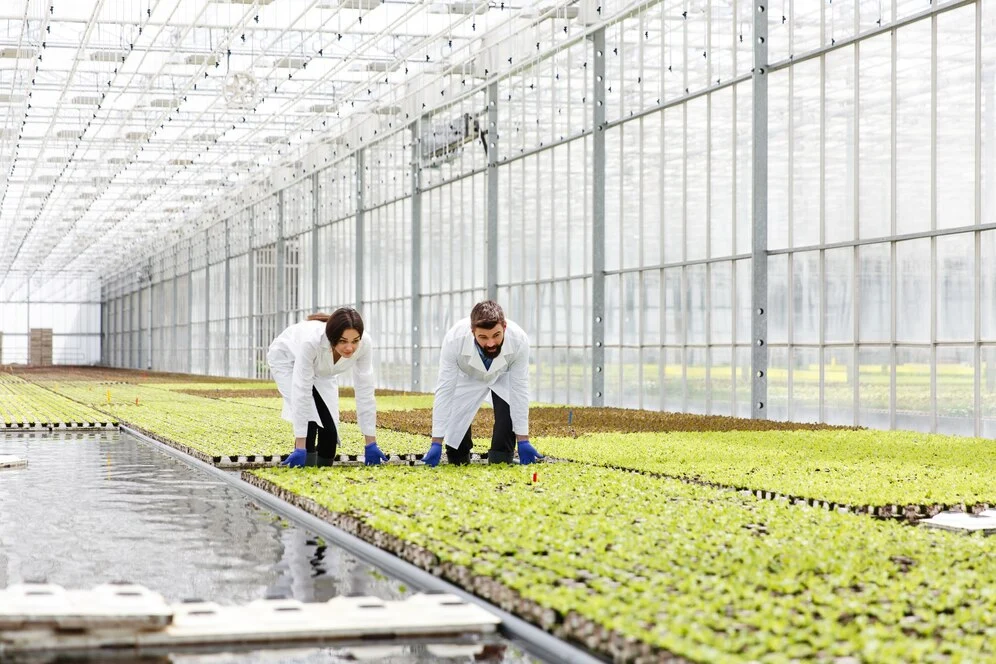 Indian Agrochemical Market